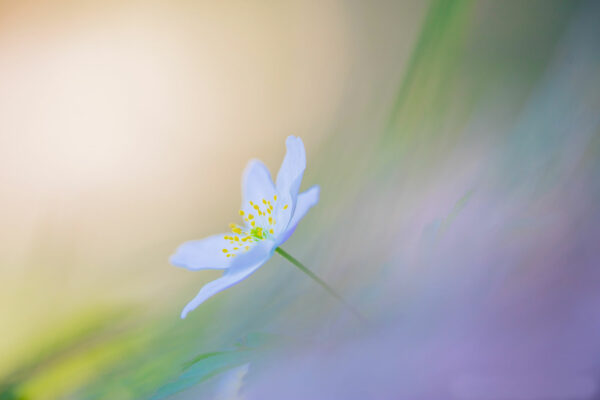dietmar-fiegl-fotowelten-16